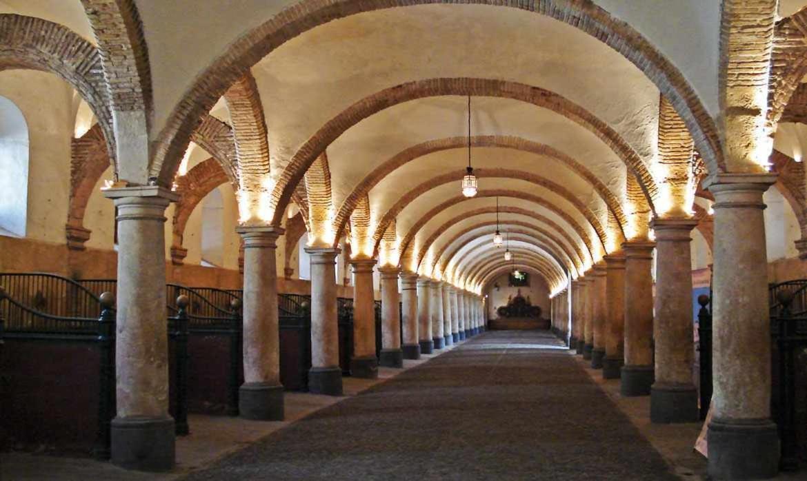 Grupo Limcotel Perla 1 Кордова Экстерьер фото